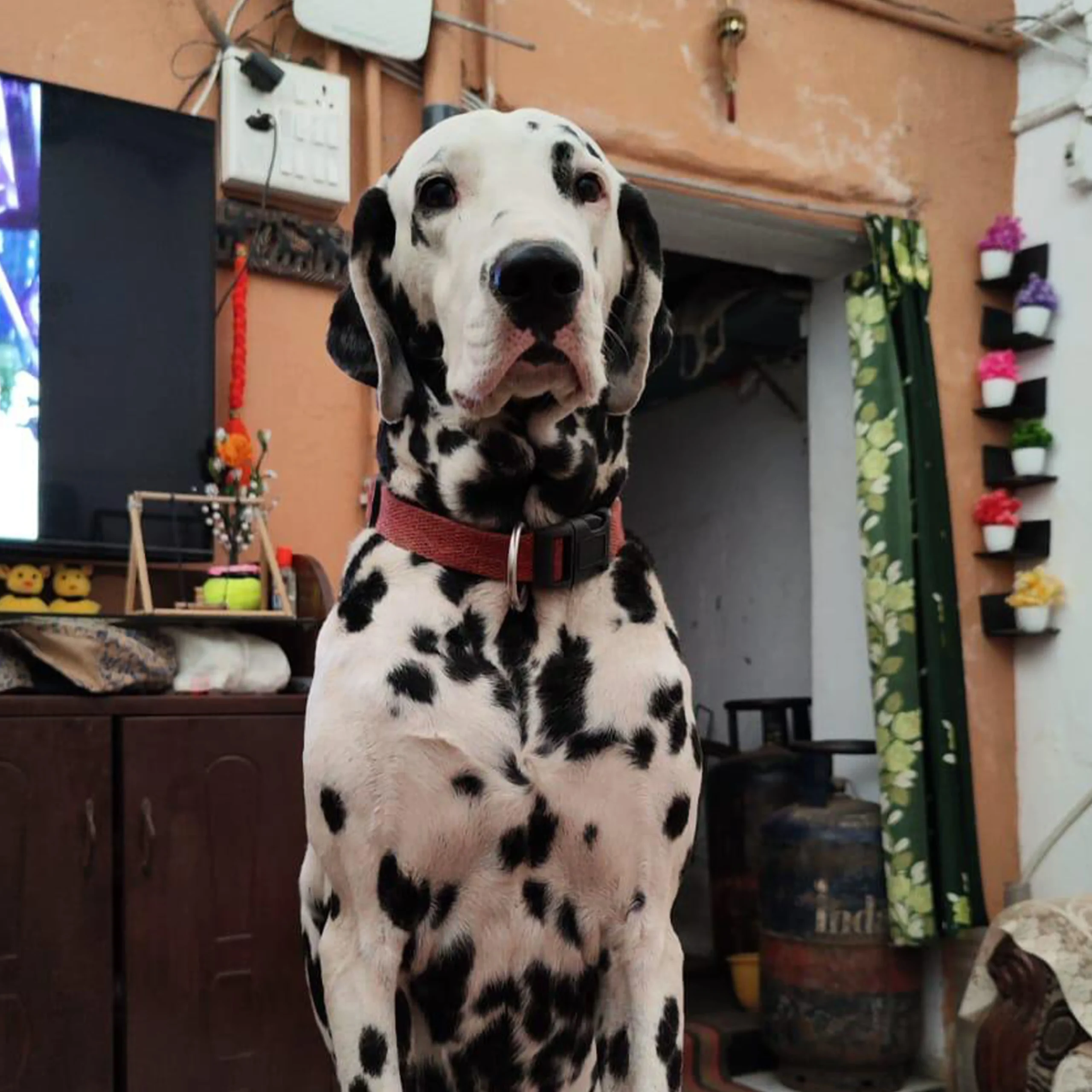 Digital Painting - Image 2